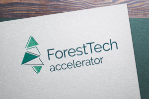 Логотип акселератора