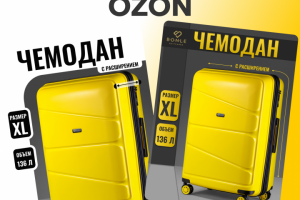 Инфографика - чемодан