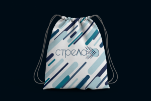 Логотип - Digital конференция Стрела