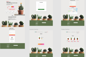Дизайн сайта магазина кактусов