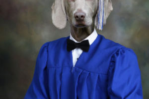 Фотомонтаж для сувенирного магазина