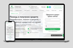 Кредитная организация