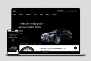 Автосервиса SVG class