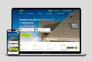 Кровельные работы Profi Krovli