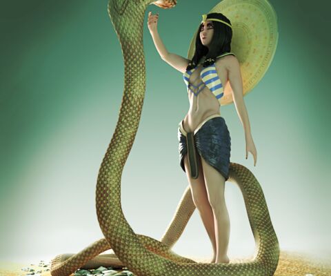 img3159072.png
