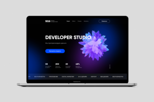 Developer Studio