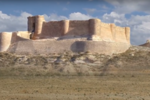 Работа 3489868