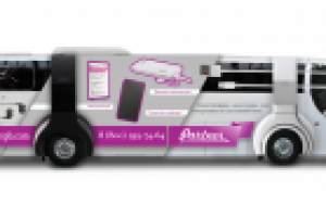 Работа 3083642