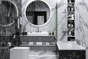 Bathroom Visualizations