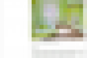 Бизнес-план частного детского сада