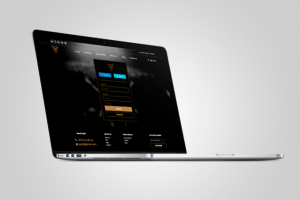 Интернет магазин для Чешской компании Stagman