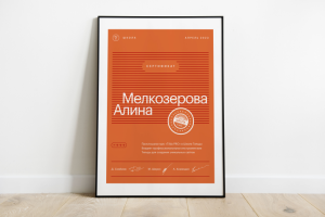Сертификат "Дизайнер сайтов на Тильде PRO", TildaSchool