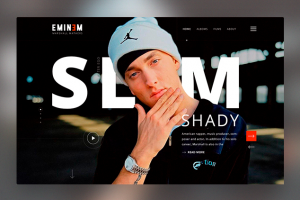 Кейс на Behance Eminem