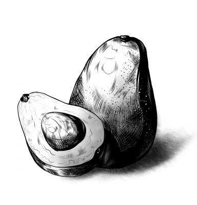 img4295308.png