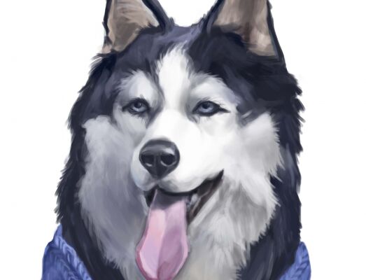 img3338975.png