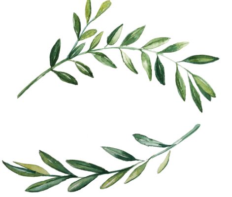 img4129738.png