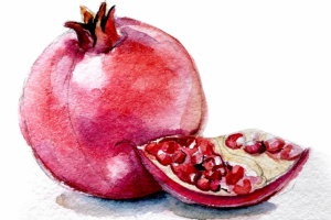 Гранат акварелью