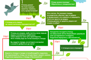 Инфографика, дизайн