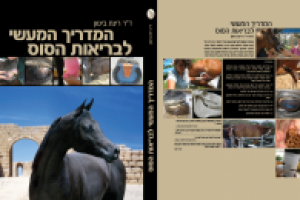 дизайн и верстка книги"здоровье лошади"