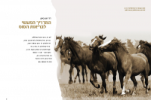 дизайн и верстка книги"здоровье лошади"