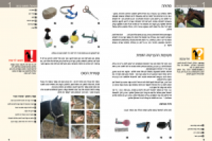 дизайн и верстка книги"здоровье лошади"