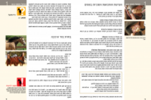 дизайн и верстка книги"здоровье лошади"