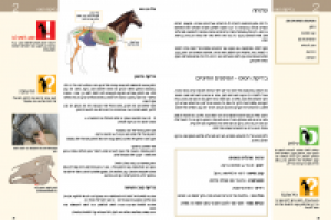 дизайн и верстка книги"здоровье лошади"