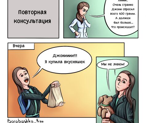 img4364901.png