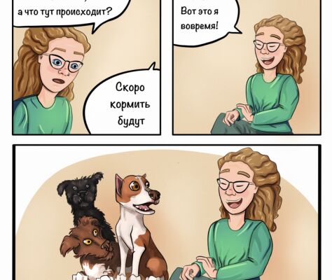 img4364898.png