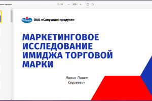 Презентация Компания ОАО Савушкин продукт.