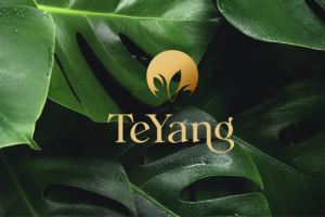 Teyang - branding and logo for skincare beauty brand