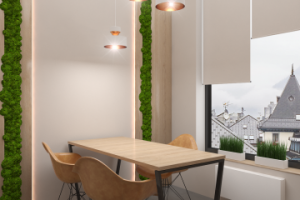 Офис отдел продаж Dom Smile 100м2 ( переговорная )