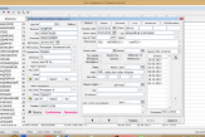 Учет условно осужденных