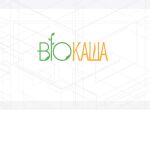 img1016922.png