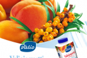 Ягоды для йогуртов