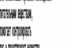 статья о правильном питании