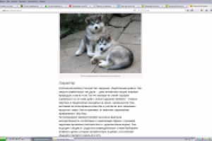 Цикл статей о породах собак