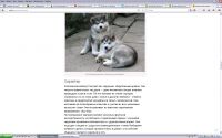 img2895437.png