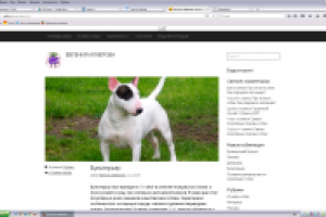 Работа 2778967