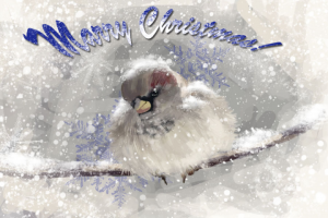 Первый рисунок на планшете в 2010