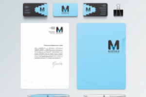 Фирменный стиль для магазина спортивных товаров "Молния"