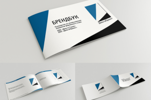 Брендбук для ДельтаПроект