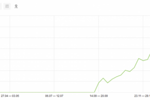 SEO продвижение сайта korovin33.ru
