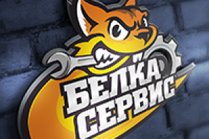 Логотип: БЕЛКА СЕРВИС