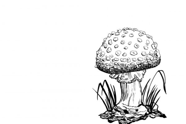 img4091414.png