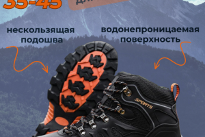 Инфографика