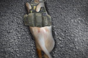 Прикол в фотошопе 2
