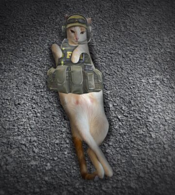 img4468389.png