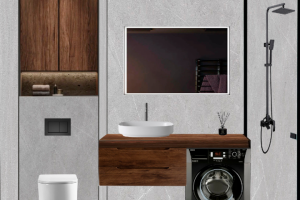 концепция санузла