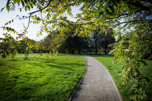 Пресс-релиз - открытие семейного тематического парка